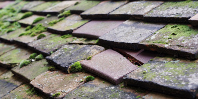 Kimble Wick roof repair costs